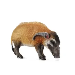 Red River Hog
