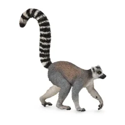 Ring-Tailed Lemur