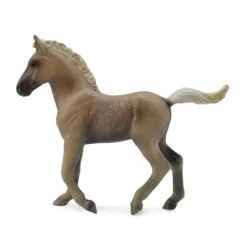 Rocky Mountain Foal