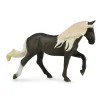 Rocky Mountain Mare - Chocolate