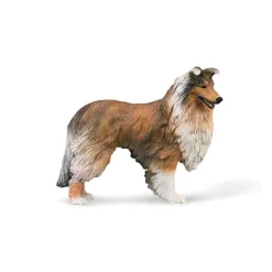 Rough Collie