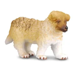 Rough Haired Collie Puppy