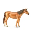 Russian Don Mare - Bright Chestnut