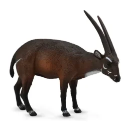 Saola