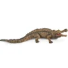Sarcosuchus