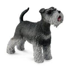 Schnauzer
