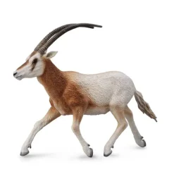Scimitar Horned Oryx