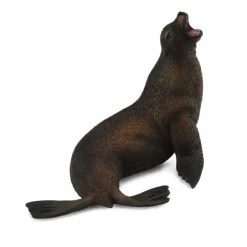 Sea Lion