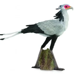 Secretary Bird