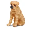 Shar Pei