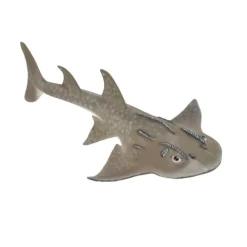 Shark Ray - Bowmouth Guitarfish