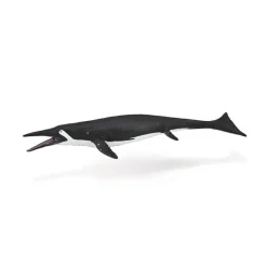 Shastasaurus