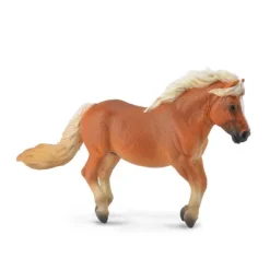 Shetland Pony Chestnut