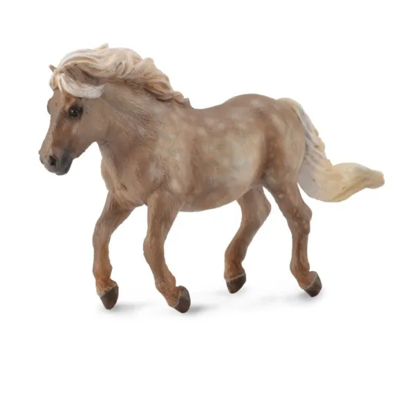 Shetland Pony Silver Dapple