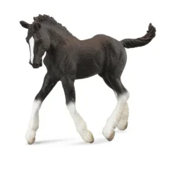 Shire Horse Foal Black