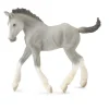 Shire Horse Foal Grey