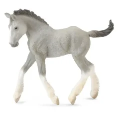 Shire Horse Foal Grey