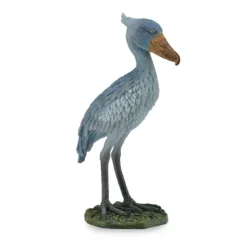 Shoebill