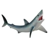 Shortfin Mako Shark