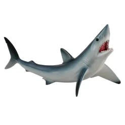 Shortfin Mako Shark