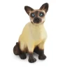 Siamese Cat Sitting