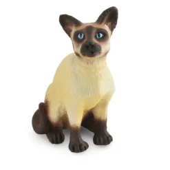 Siamese Cat Sitting
