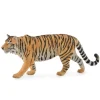 Siberian Tiger