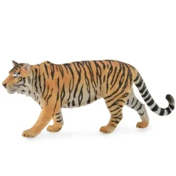 Siberian Tiger
