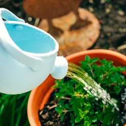 Silicone Watering Can
