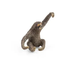 Sloth