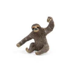 Sloth