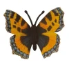 Small Tortoiseshell