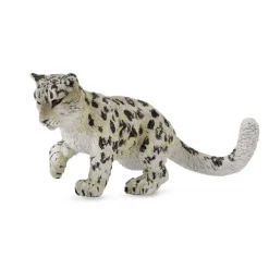 Snow Leopard Cub Playing