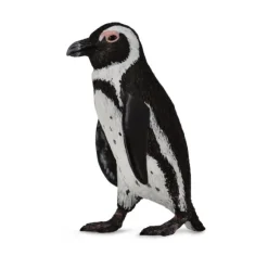 South African Penguin