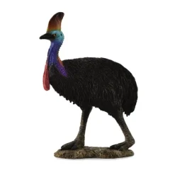 Southern Cassowary