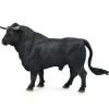 Spanish Fighting Bull - Standing