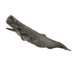 Sperm Whale