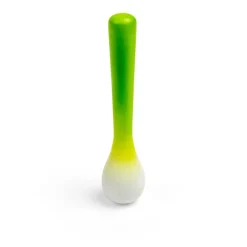 Spring Onion (Pack of 2)