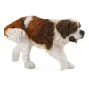 St Bernard