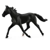 Standardbred Pacer Stallion Black