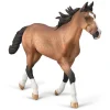 Standardbred Pacer Stallion (Bay)