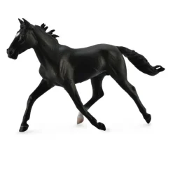 Standardbred Pacer Stallion Black