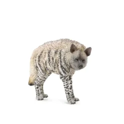 Striped Hyena