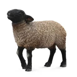 Suffolk
