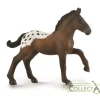 Sugarbush Draft Foal