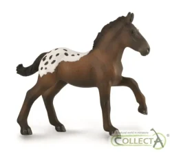 Sugarbush Draft Foal