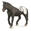 Sugarbush Draft Mare - Black Blanket w Spots