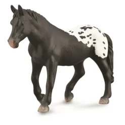 Sugarbush Draft Mare - Black Blanket w Spots
