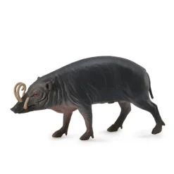 Sulawesi Babirusa