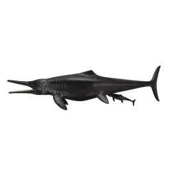 Temnodontosaurus Platyodon Birth